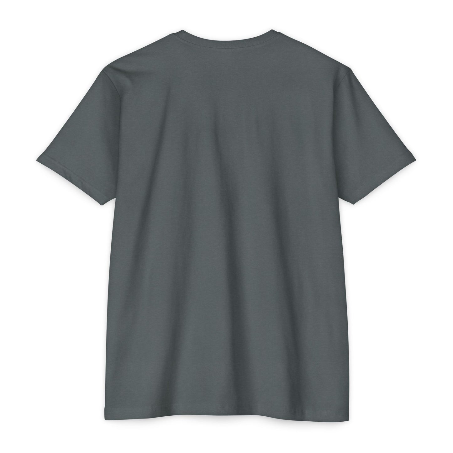 Mosquito Control T-shirt - American Flag Design
